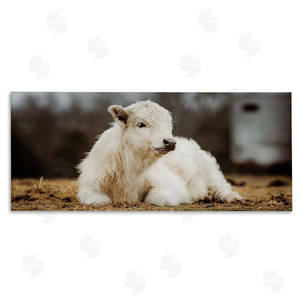 stupell industries Dakota Diener | Baby White Cattle Wall Art