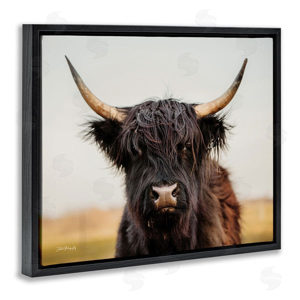 Stupell Industries Dakota Diener | Black Highland Cow Portrait