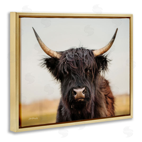 Stupell Industries Dakota Diener | Black Highland Cow Portrait