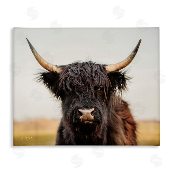 stupell industries Dakota Diener | Black Highland Cow Portrait
