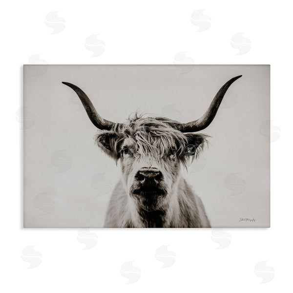 stupell industries Dakota Diener | Calm Cattle Portrait