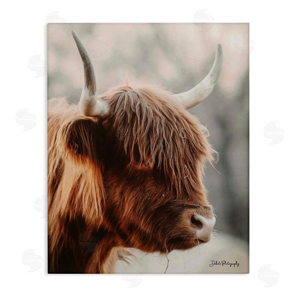 stupell industries Dakota Diener | Calm Highland Cow Cattle Portrait Horns Photography Wall Art