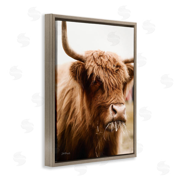 Stupell Industries Dakota Diener | Cattle Chewing Photography Wall Art
