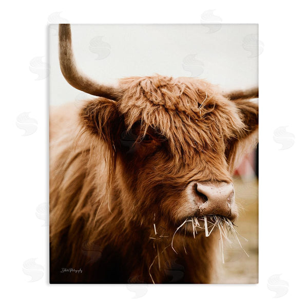 stupell industries Dakota Diener | Cattle Chewing Photography Wall Art