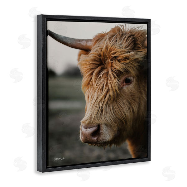 Stupell Industries Dakota Diener | Cattle Gazing Portrait Wall Art