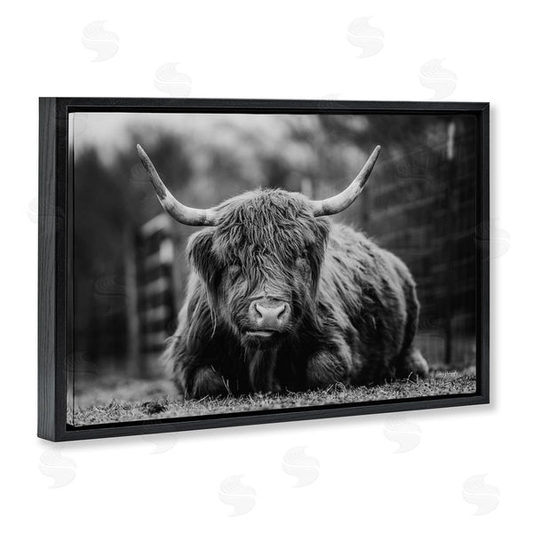 Stupell Industries Dakota Diener | Cattle Laying In Grass