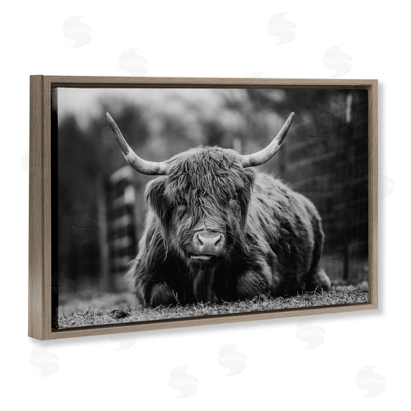Stupell Industries Dakota Diener | Cattle Laying In Grass