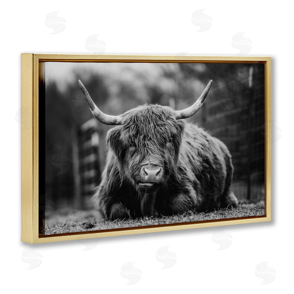 Stupell Industries Dakota Diener | Cattle Laying In Grass