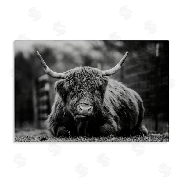 stupell industries Dakota Diener | Cattle Laying in Grass