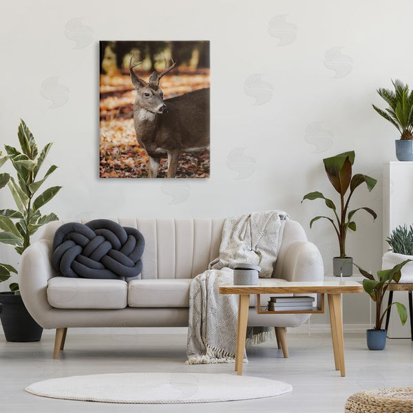 Stupell Industries Dakota Diener | Deer In Fall Foliage Wall Art