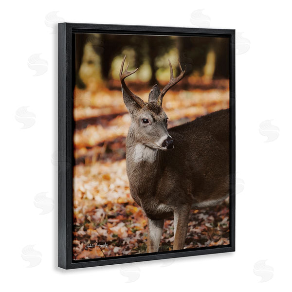 Stupell Industries Dakota Diener | Deer In Fall Foliage Wall Art