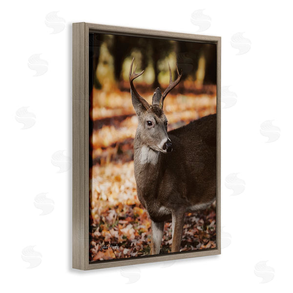 Stupell Industries Dakota Diener | Deer In Fall Foliage Wall Art