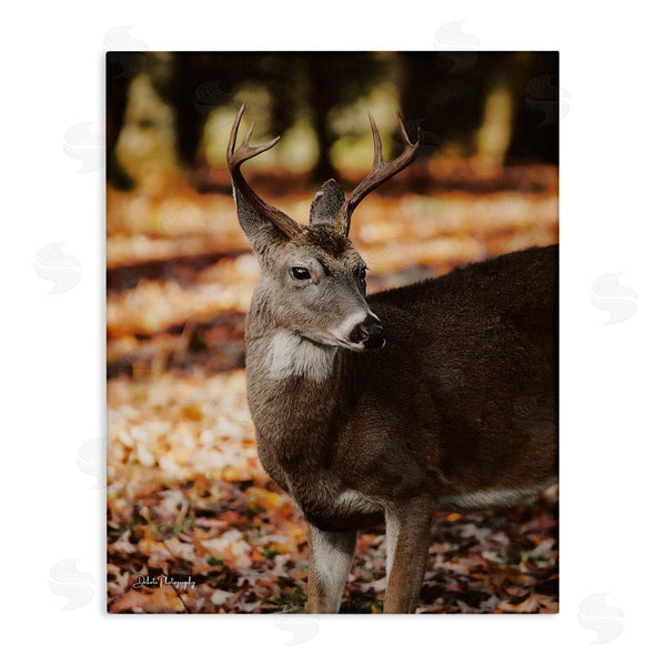 stupell industries Dakota Diener | Deer in Fall Foliage Wall Art