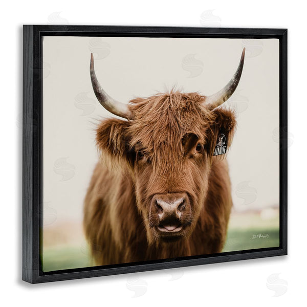 Stupell Industries Dakota Diener | Farmhouse Cattle Photography Wall Art