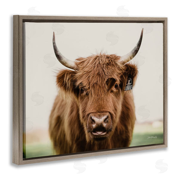 Stupell Industries Dakota Diener | Farmhouse Cattle Photography Wall Art