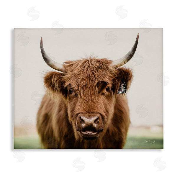 stupell industries Dakota Diener | Farmhouse Cattle Photography Wall Art