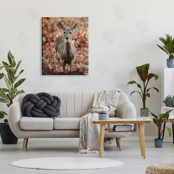 Stupell Industries Dakota Diener | Fawn In Autumn Nature Wall Art