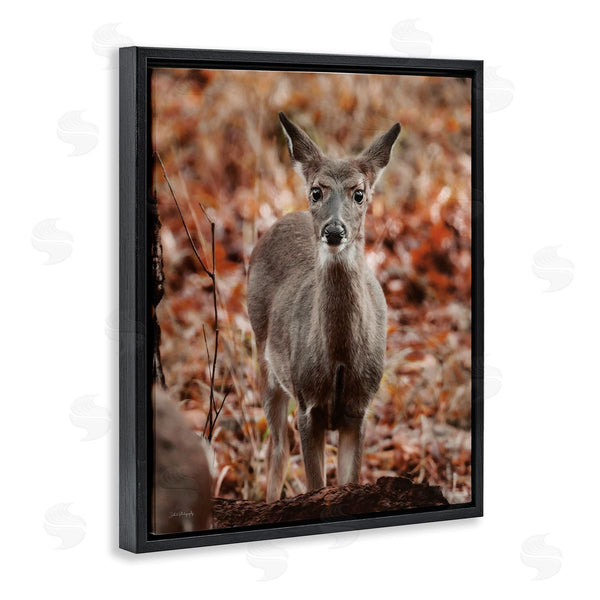 Stupell Industries Dakota Diener | Fawn In Autumn Nature Wall Art