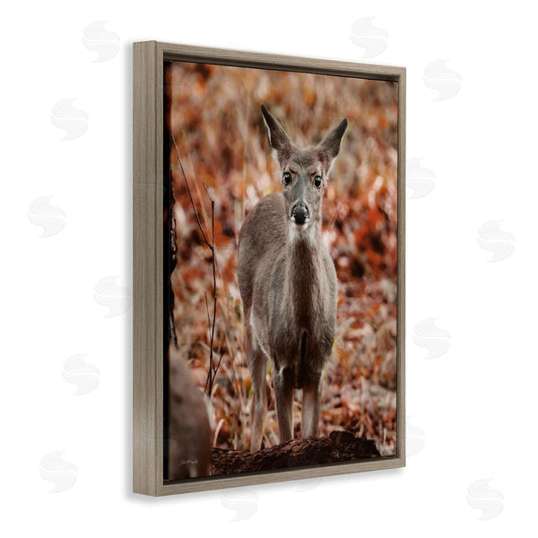 Stupell Industries Dakota Diener | Fawn In Autumn Nature Wall Art