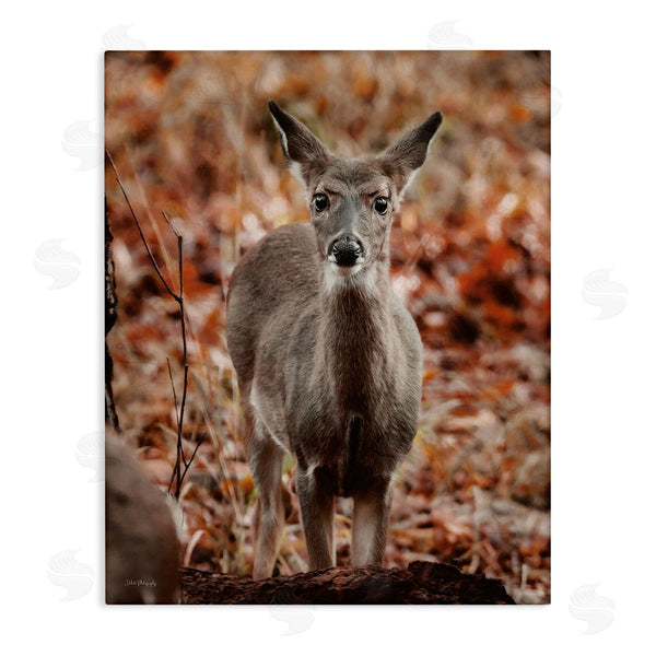 stupell industries Dakota Diener | Fawn in Autumn Nature Wall Art