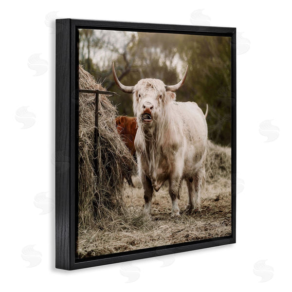 Stupell Industries Dakota Diener | Grazing Cattle Hay Bale Farm Wall Art