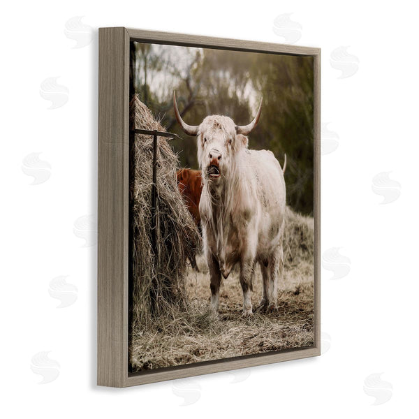 Stupell Industries Dakota Diener | Grazing Cattle Hay Bale Farm Wall Art
