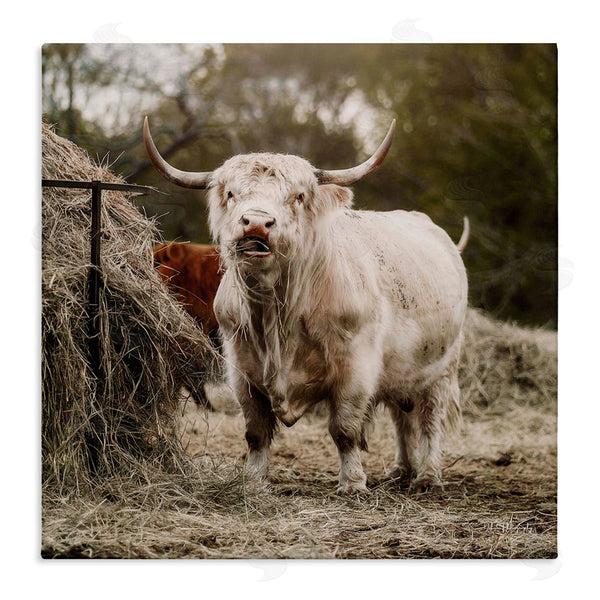 stupell industries Dakota Diener | Grazing Cattle Hay Bale Farm Wall Art
