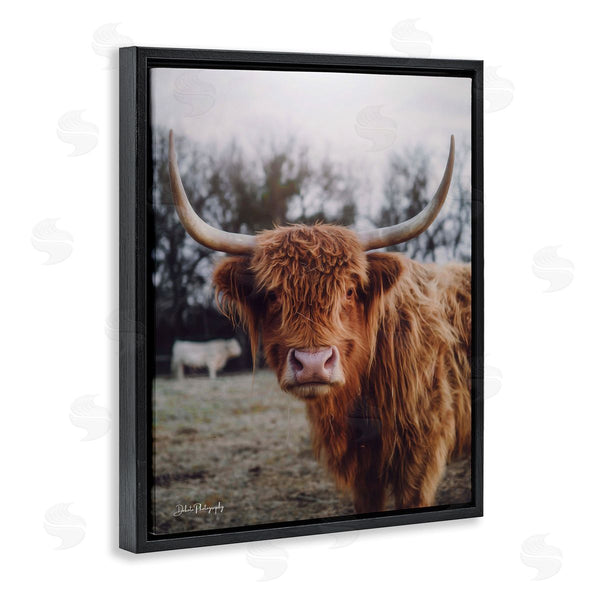 Stupell Industries Dakota Diener | Highland Cattle Cow Gazing Warm Sunny Portrait Wall Art