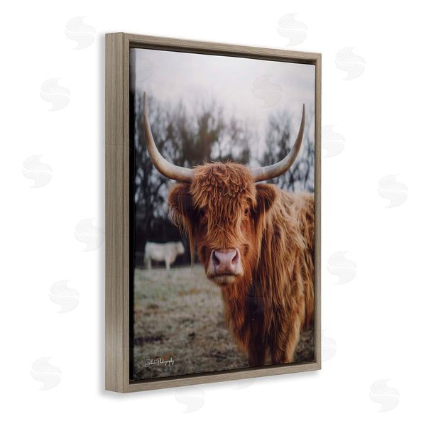 Stupell Industries Dakota Diener | Highland Cattle Cow Gazing Warm Sunny Portrait Wall Art