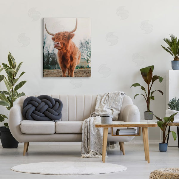 Stupell Industries Dakota Diener | Highland Cattle Cow Grazing Rural Farmland Sunlight Wall Art