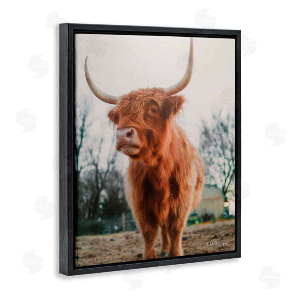Stupell Industries Dakota Diener | Highland Cattle Cow Grazing Rural Farmland Sunlight Wall Art