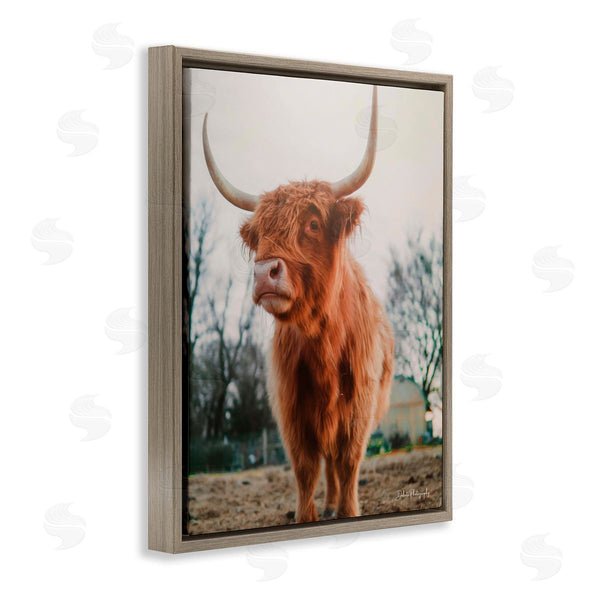 Stupell Industries Dakota Diener | Highland Cattle Cow Grazing Rural Farmland Sunlight Wall Art