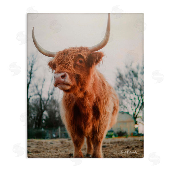 stupell industries Dakota Diener | Highland Cattle Cow Grazing Rural Farmland Sunlight Wall Art