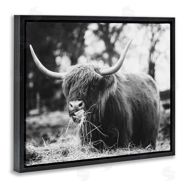 Stupell Industries Dakota Diener | Highland Cattle Tongue Lick Grass Wall Art