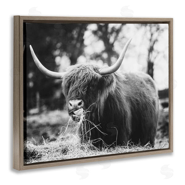 Stupell Industries Dakota Diener | Highland Cattle Tongue Lick Grass Wall Art