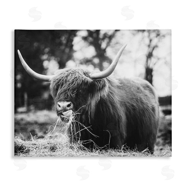 stupell industries Dakota Diener | Highland Cattle Tongue Lick Grass Wall Art