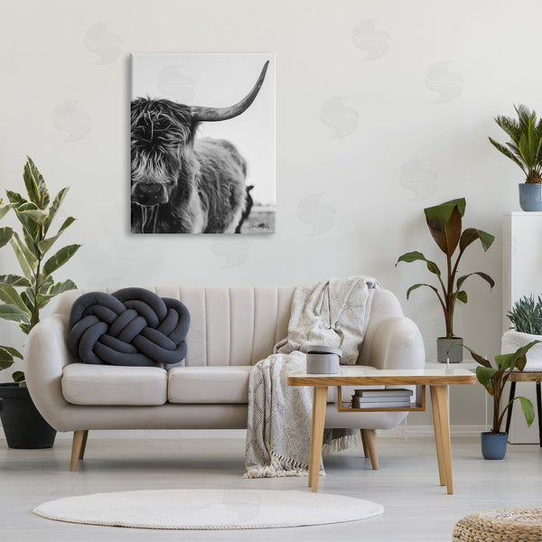 Stupell Industries Dakota Diener | Highland Cow Cattle Horn Close Up Serene Photography Wall Art