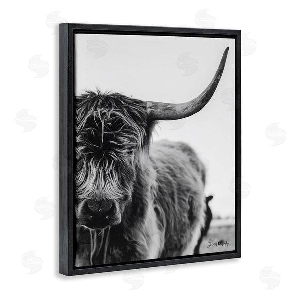 Stupell Industries Dakota Diener | Highland Cow Cattle Horn Close Up Serene Photography Wall Art
