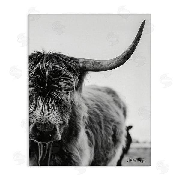stupell industries Dakota Diener | Highland Cow Cattle Horn Close Up Serene Photography Wall Art