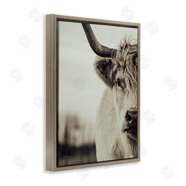 Stupell Industries Dakota Diener | Highland Cow Face Portrait Wall Art