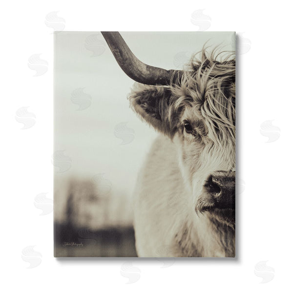 stupell industries Dakota Diener | Highland Cow Face Portrait Wall Art