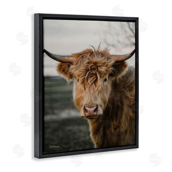 Stupell Industries Dakota Diener | Highland Cow Photography Wall Art
