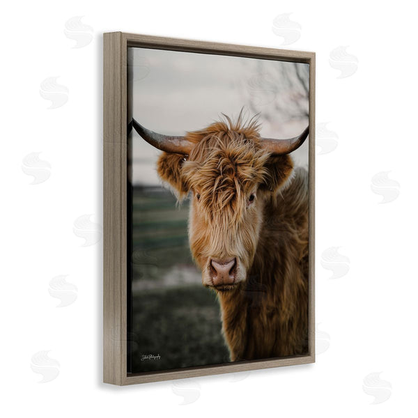 Stupell Industries Dakota Diener | Highland Cow Photography Wall Art