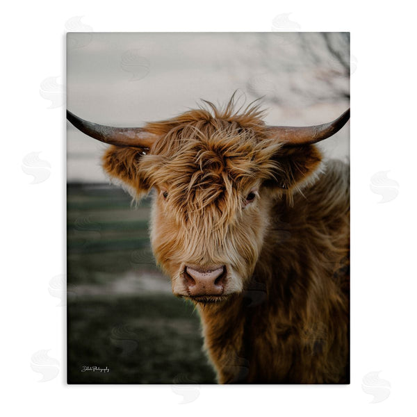 stupell industries Dakota Diener | Highland Cow Photography Wall Art