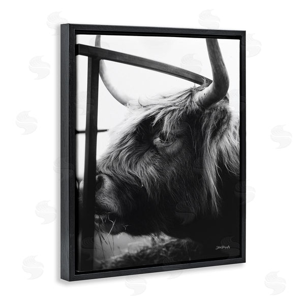 Stupell Industries Dakota Diener | Longhorn Cattle Feeding Portrait Wall Art