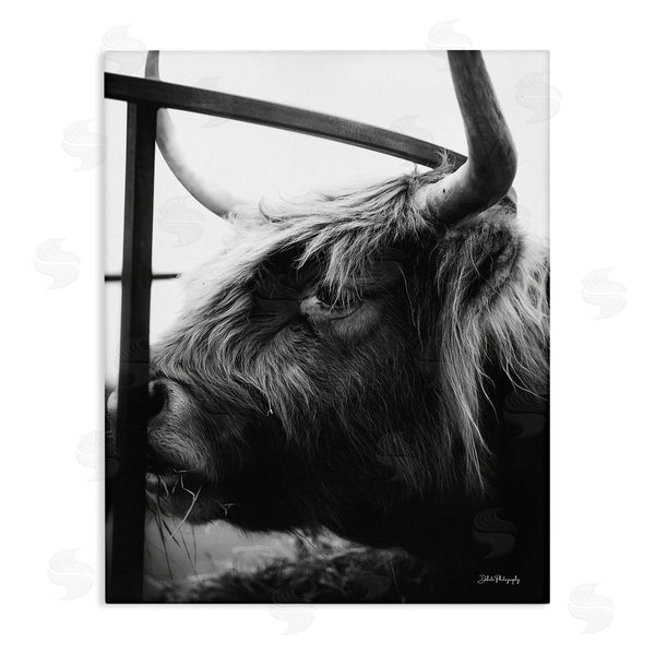 stupell industries Dakota Diener | Longhorn Cattle Feeding Portrait Wall Art