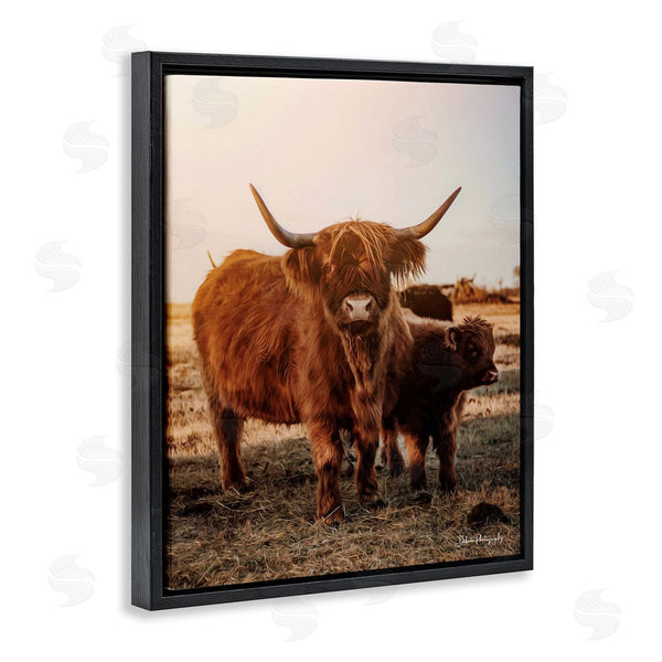 Stupell Industries Dakota Diener | Longhorn Highland Cattle Cow Warm Sunrise Morning Wall Art