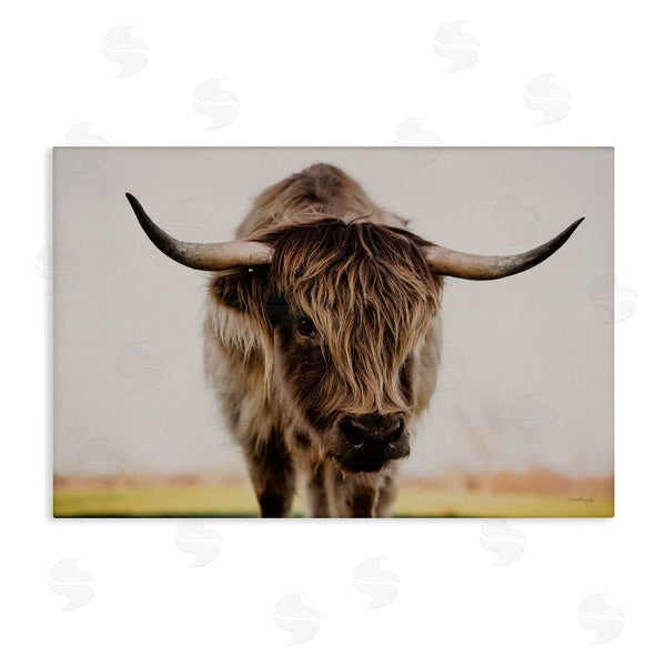stupell industries Dakota Diener | Longhorn with Piercing Gaze