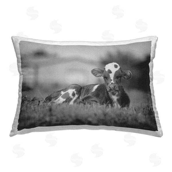 Stupell Industries Dakota Diener | Lounging Cow In Grass