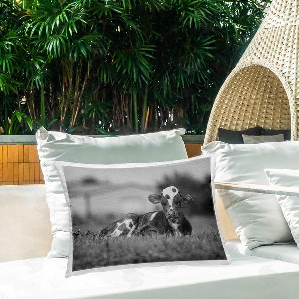 Stupell Industries Dakota Diener | Lounging Cow In Grass